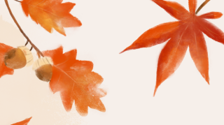 Lust auf Blätterrascheln, und dann Kaffee und Kuchen? Entdecke den Herbstwald rund um Elmshausen 